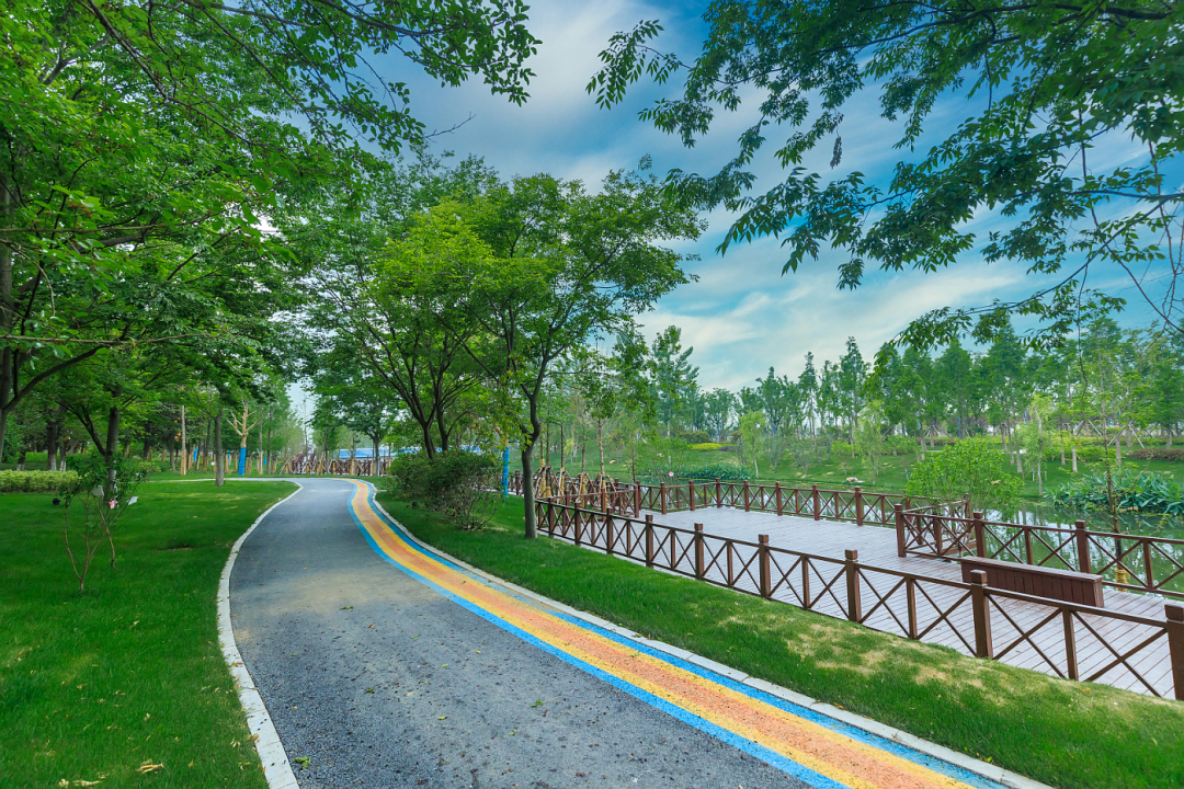 泗洪新城中央公园 | 居城市繁华,享多元生活配套!